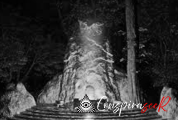 conspriaseer Top 10 Bohemian Grove Conspiracy Theories www.conspiraseer.com Bohemian Grove image